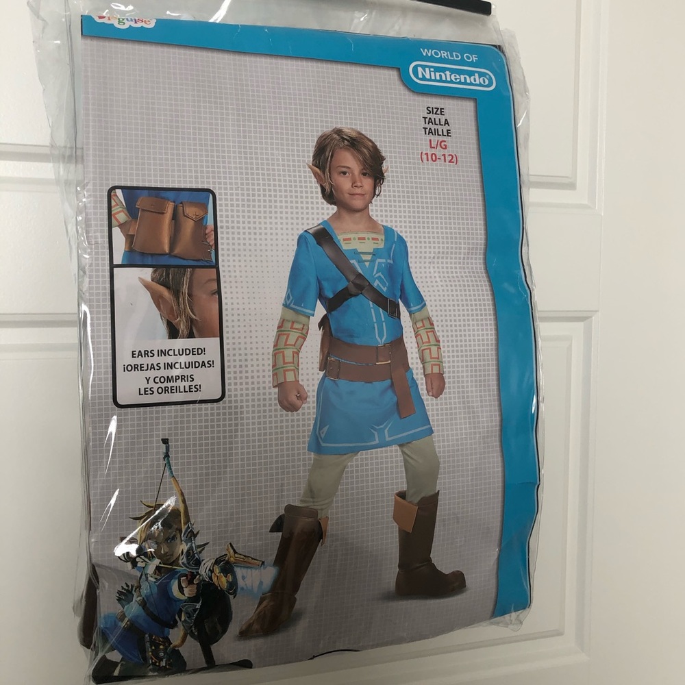 Link Breath of the Wild Costume